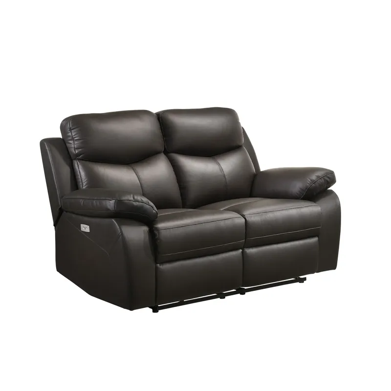 Dryden Power Motion Loveseat W/Console in Aviarah Brown
