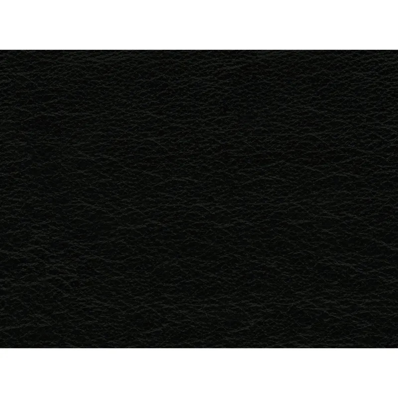 Hampton Sofa In Fiero Black (Top Grain/PVC)