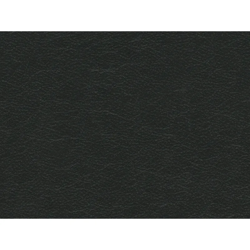 Hampton Sofa in Fiero Charcoal (Top Grain / PVC)