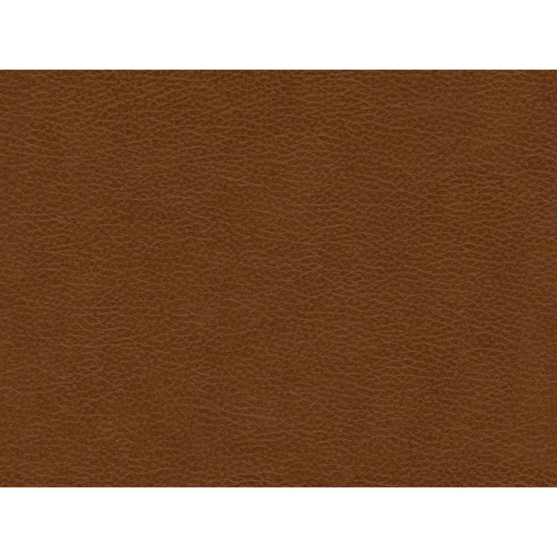 Hampton Sofa in Fiero Tan (Top Grain/PVC)