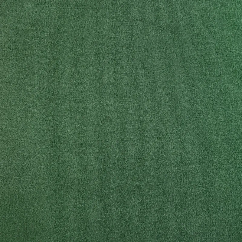 Isadora Side Chair in Emerald velvet 2 per Pack (3A Packing)