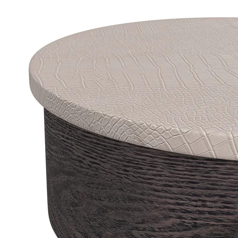 Nica Lift Top Coffee Table in White and Brown