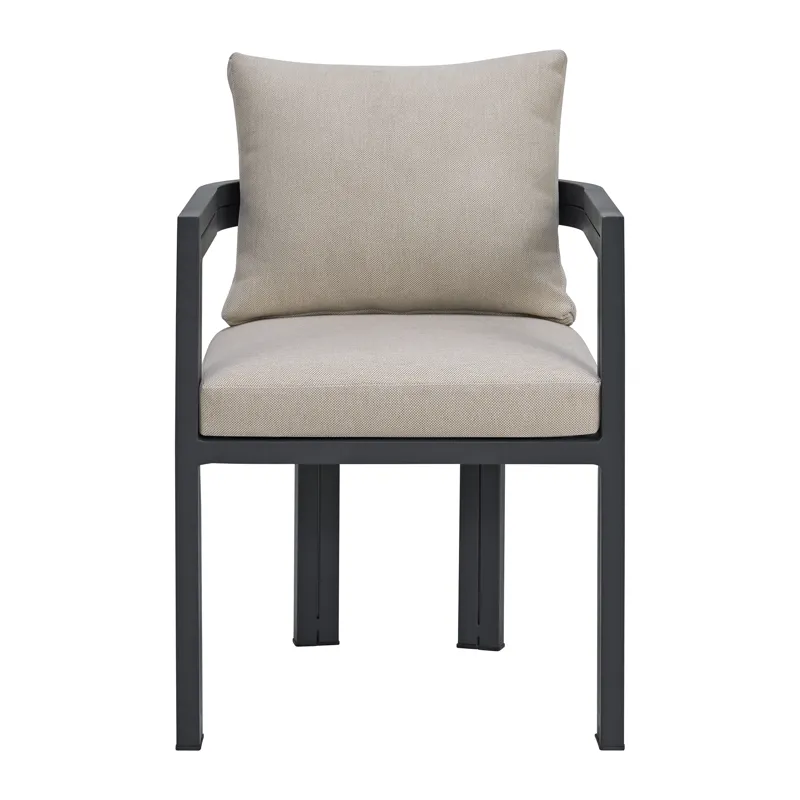 Playa Dining Chair - Dark Grey and Olefin Beige (2 Per Carton)