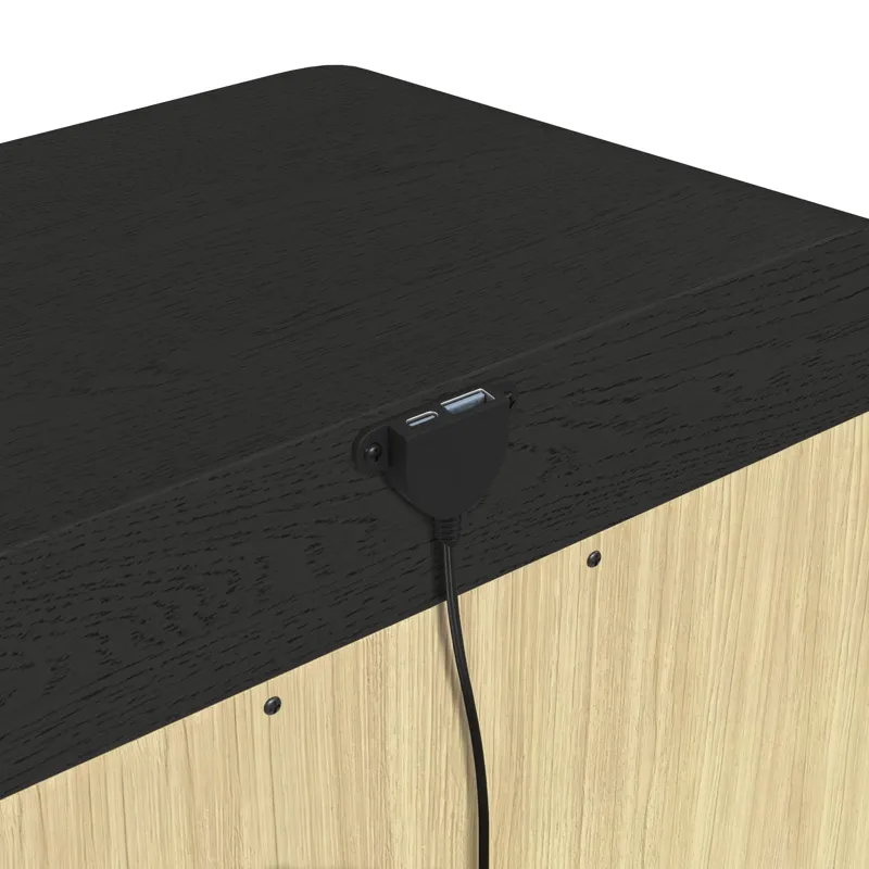 Ridgemont 1-Drawer Nightstand with USB in Black with Grain