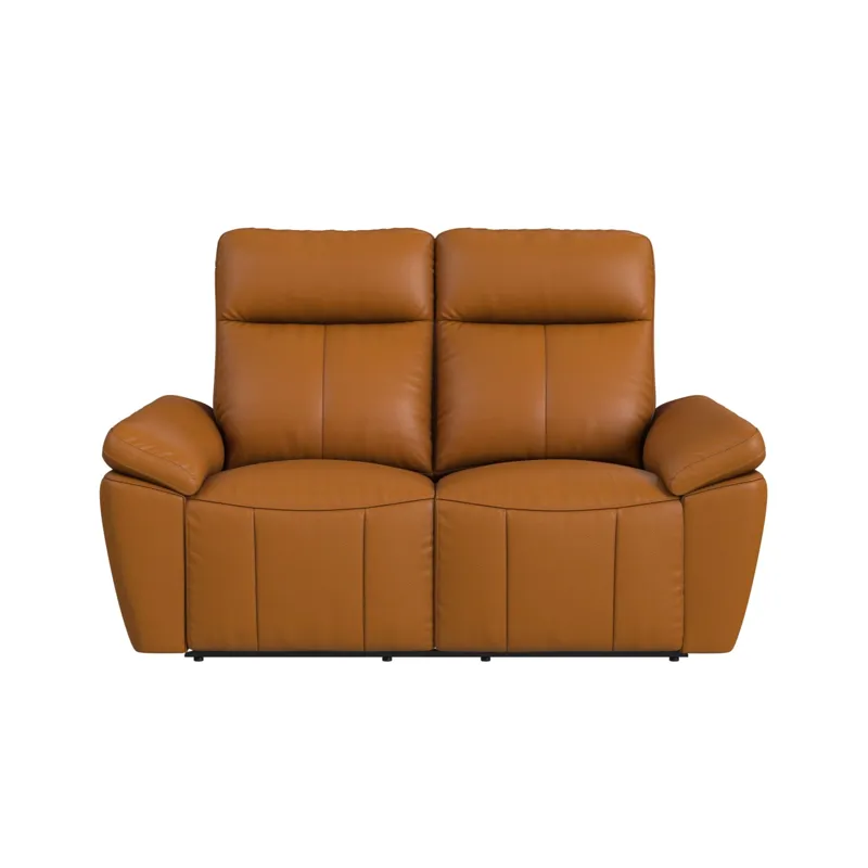 Sago Motion Loveseat in Aviarah Tangerine