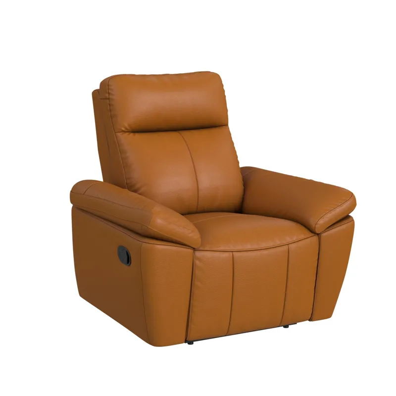 Sago Motion Recliner in Aviarah Tangerine