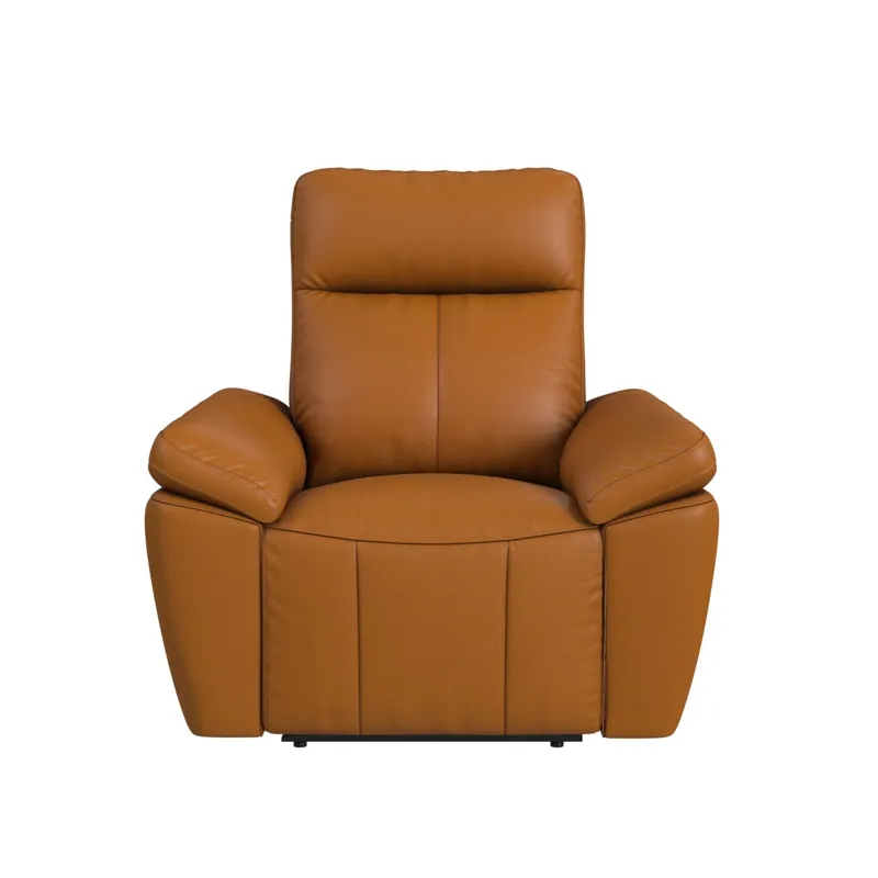 Sago Motion Recliner in Aviarah Tangerine