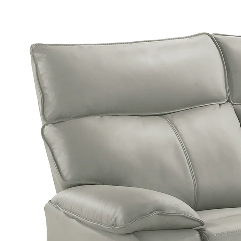 Wildcat Motion Sofa in Aviarah Silver