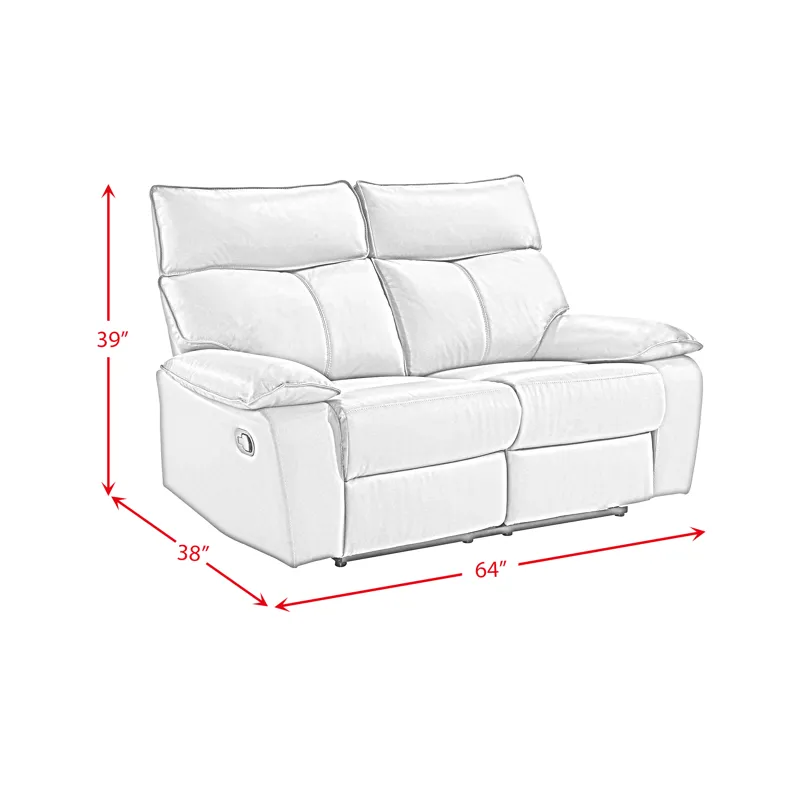 Wildcat Motion Loveseat in Aviarah Silver
