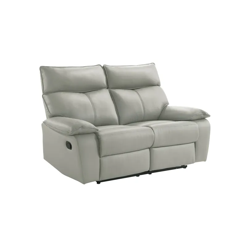Wildcat Motion Loveseat in Aviarah Silver