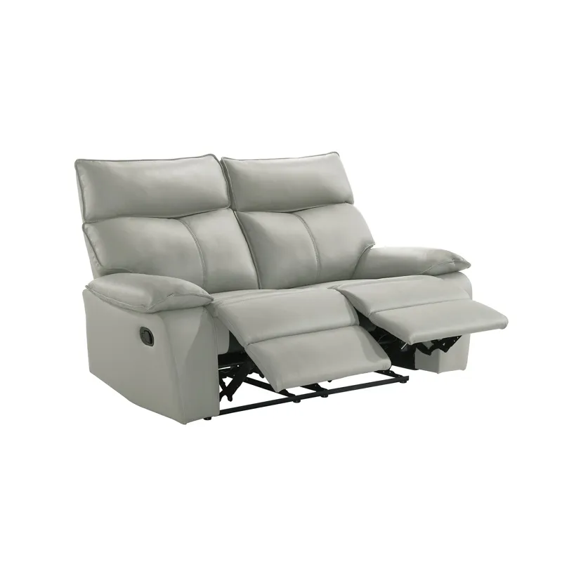 Wildcat Motion Loveseat in Aviarah Silver