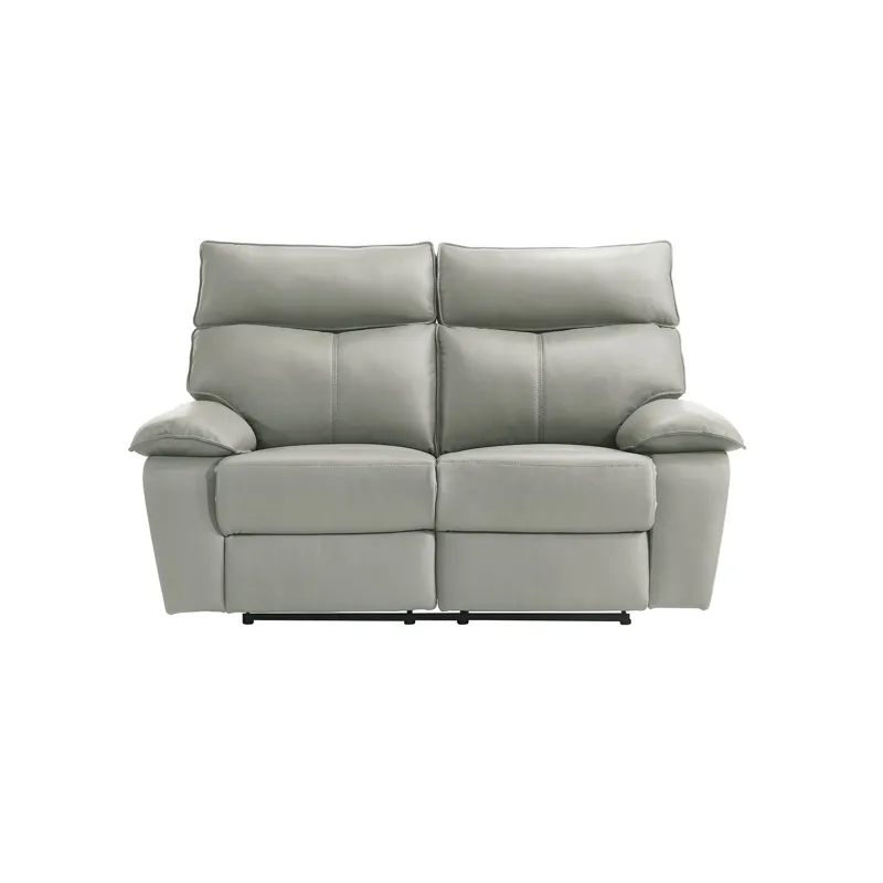 Wildcat Motion Loveseat in Aviarah Silver