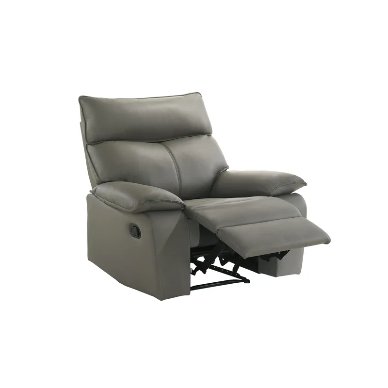 Wildcat Motion Recliner in Aviarah Grey