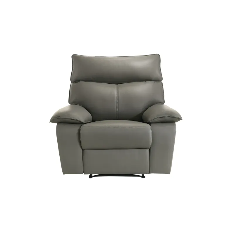 Wildcat Motion Recliner in Aviarah Grey