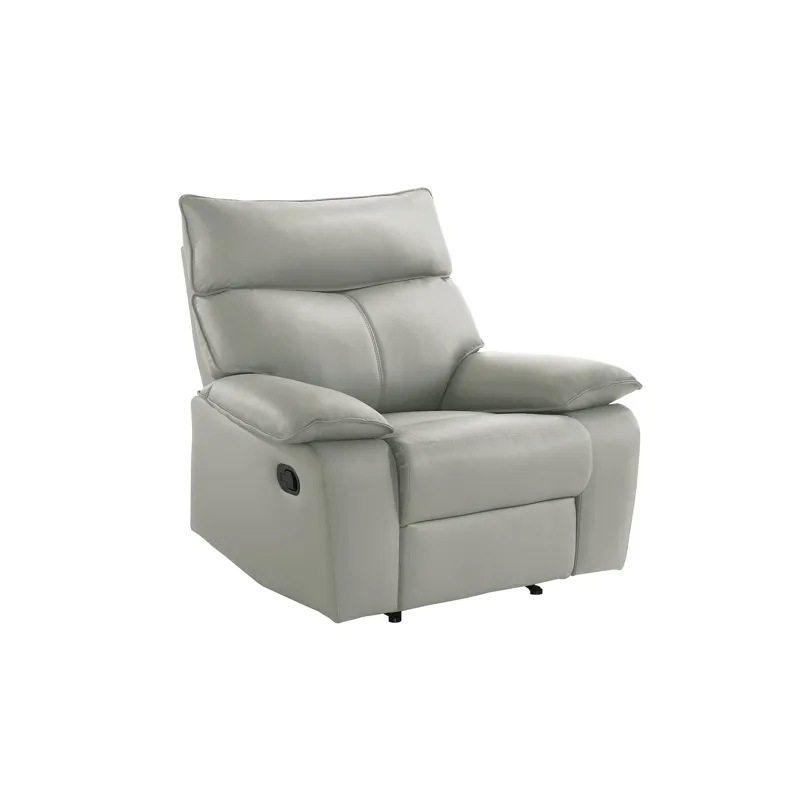 Wildcat Motion Recliner in Aviarah Silver