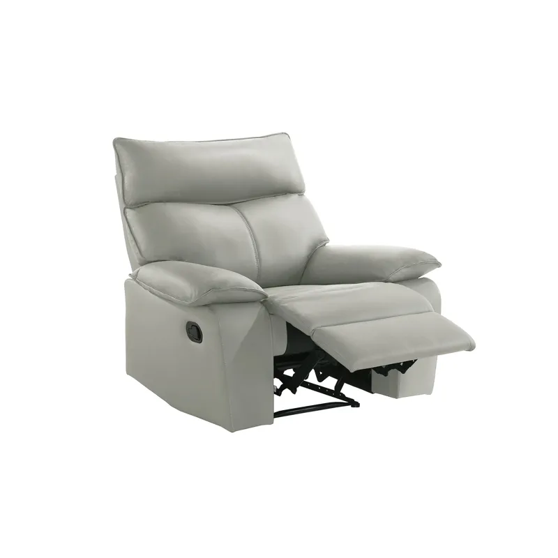 Wildcat Motion Recliner in Aviarah Silver
