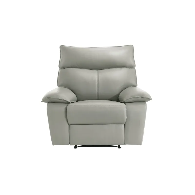 Wildcat Motion Recliner in Aviarah Silver