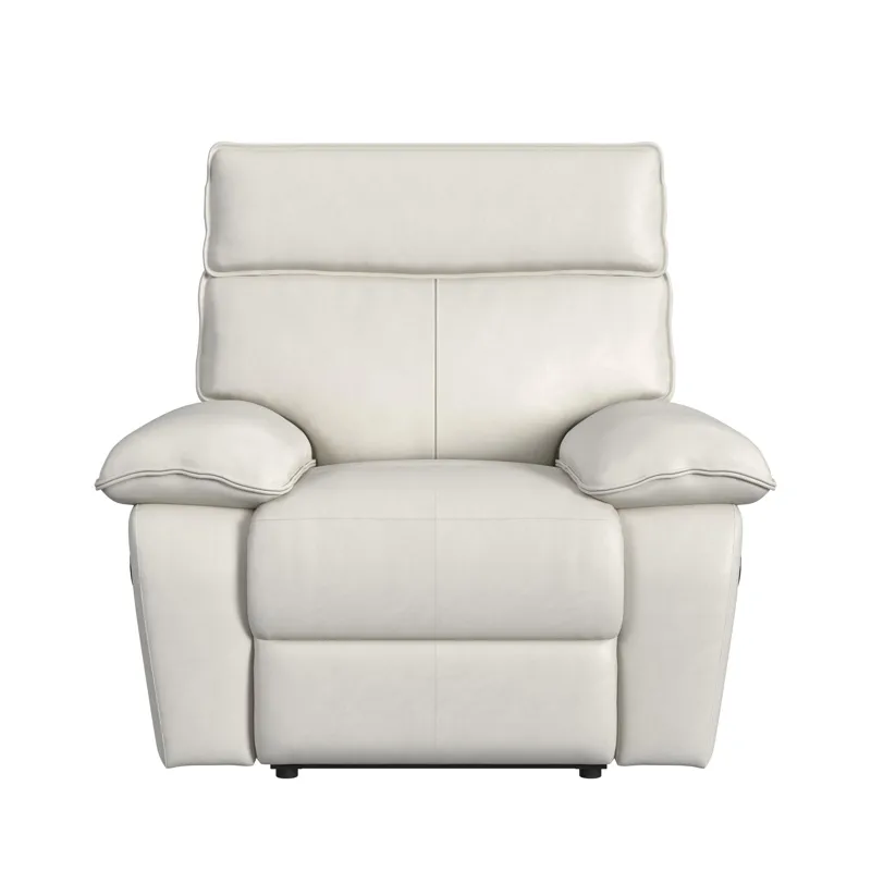 Wildcat Motion Recliner in Aviarah White