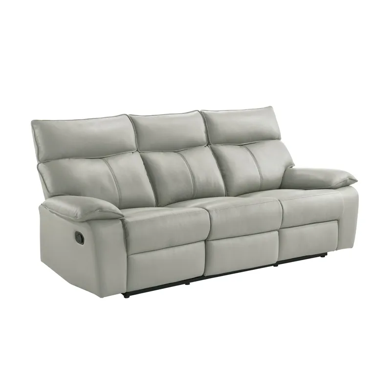 Wildcat Motion Sofa in Aviarah Silver