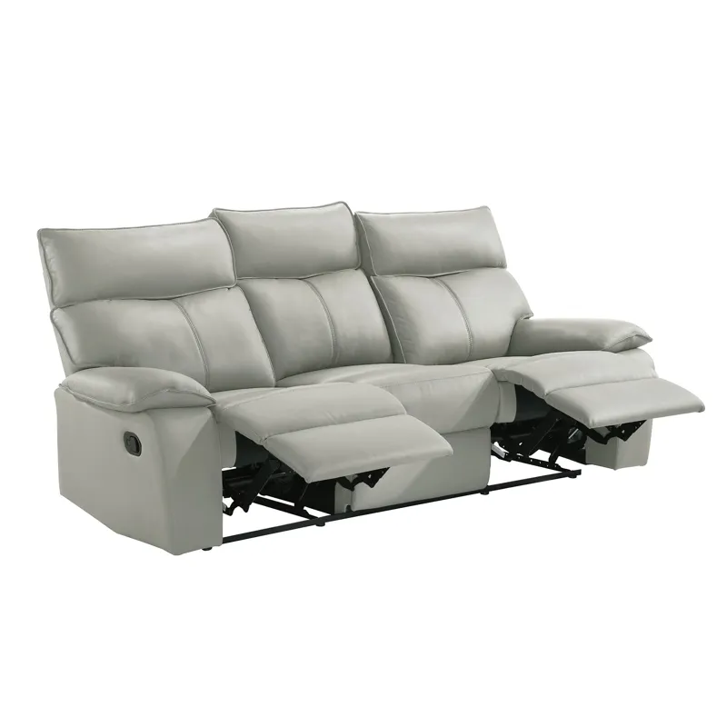 Wildcat Motion Sofa in Aviarah Silver
