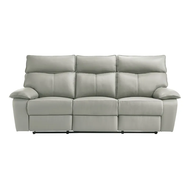 Wildcat Motion Sofa in Aviarah Silver