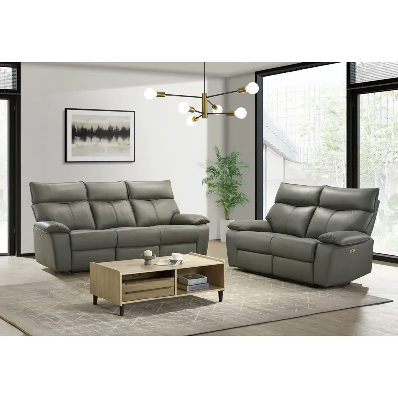 Wildcat Power Motion Sofa in Aviarah Grey