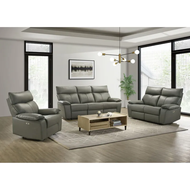 Wildcat Power Motion Recliner in Aviarah Grey