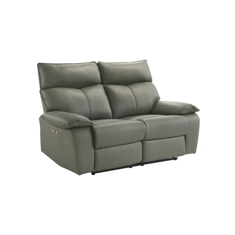 Wildcat Power Motion Loveseat in Aviarah Grey