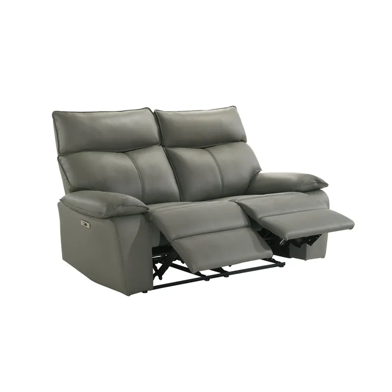 Wildcat Power Motion Loveseat in Aviarah Grey