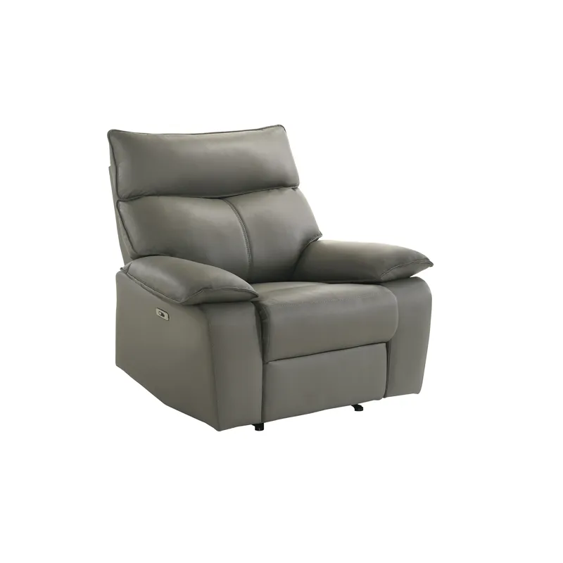 Wildcat Power Motion Recliner in Aviarah Grey