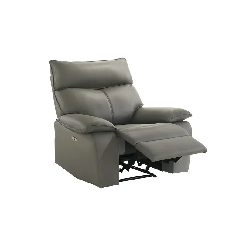 Wildcat Power Motion Recliner in Aviarah Grey