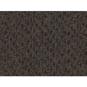 WAGGA WAGGA OTTER (2).jpg