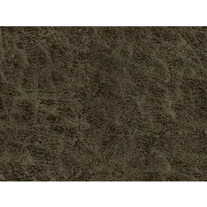 NORTHWEST PALOMA.jpg