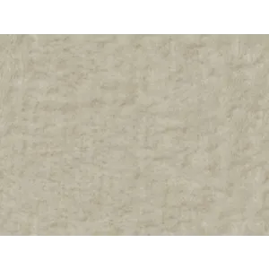 CONNER FROTH.jpg