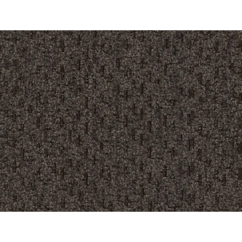 WAGGA WAGGA OTTER (2).jpg