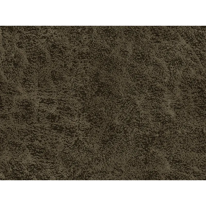 NORTHWEST PALOMA.jpg