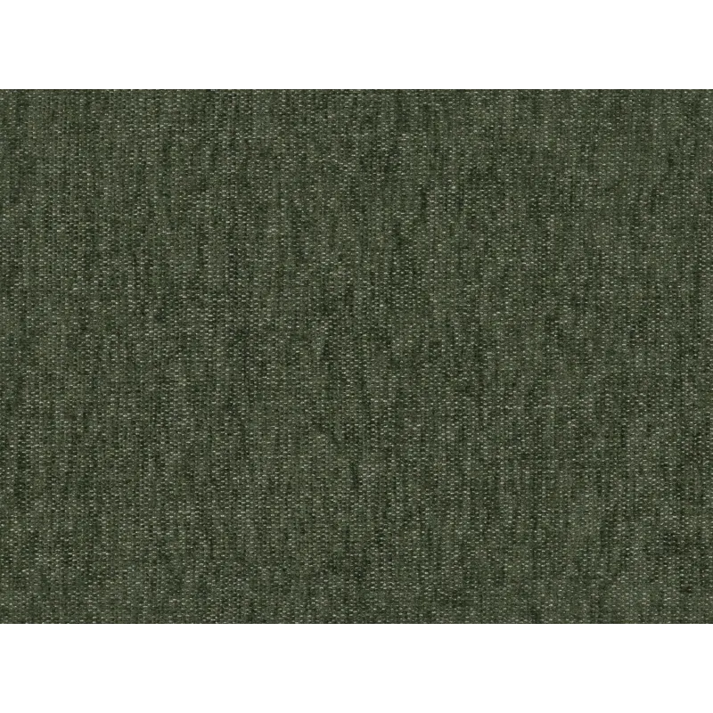 DEXTER EUCALYPTUS.jpg