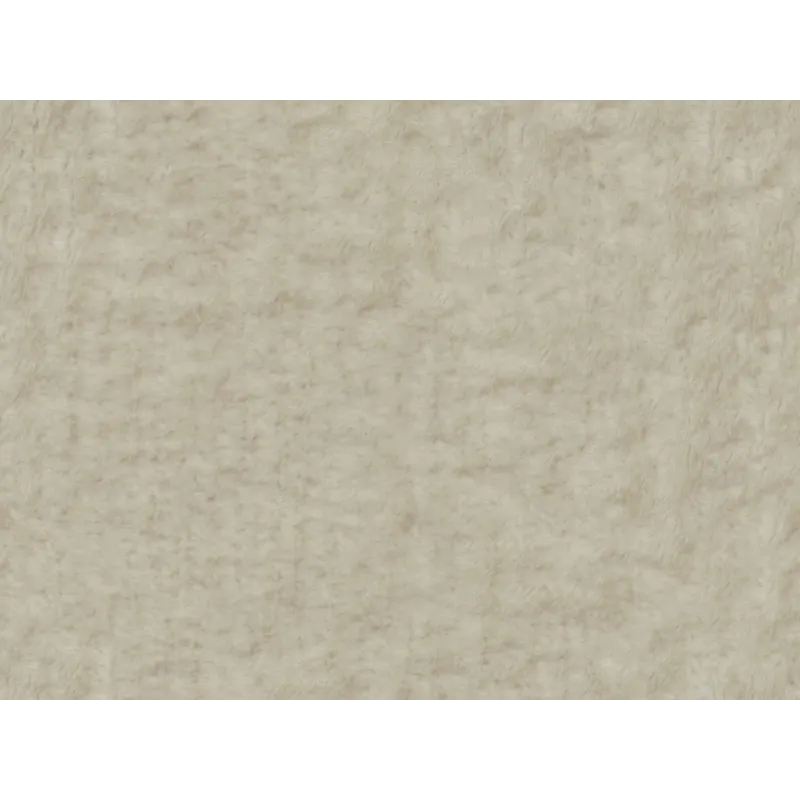 CONNER FROTH.jpg