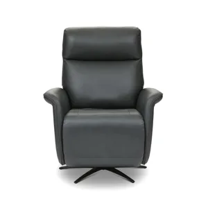 Power Swivel Recliner with Power Headrest, Lumbar, Heat, Massage & Ventilation