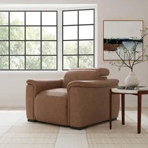 Power Recliner with Power Headrest