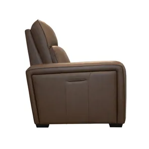 Sense Power Recliner with Power Headrest, Lumbar &amp; Pulse