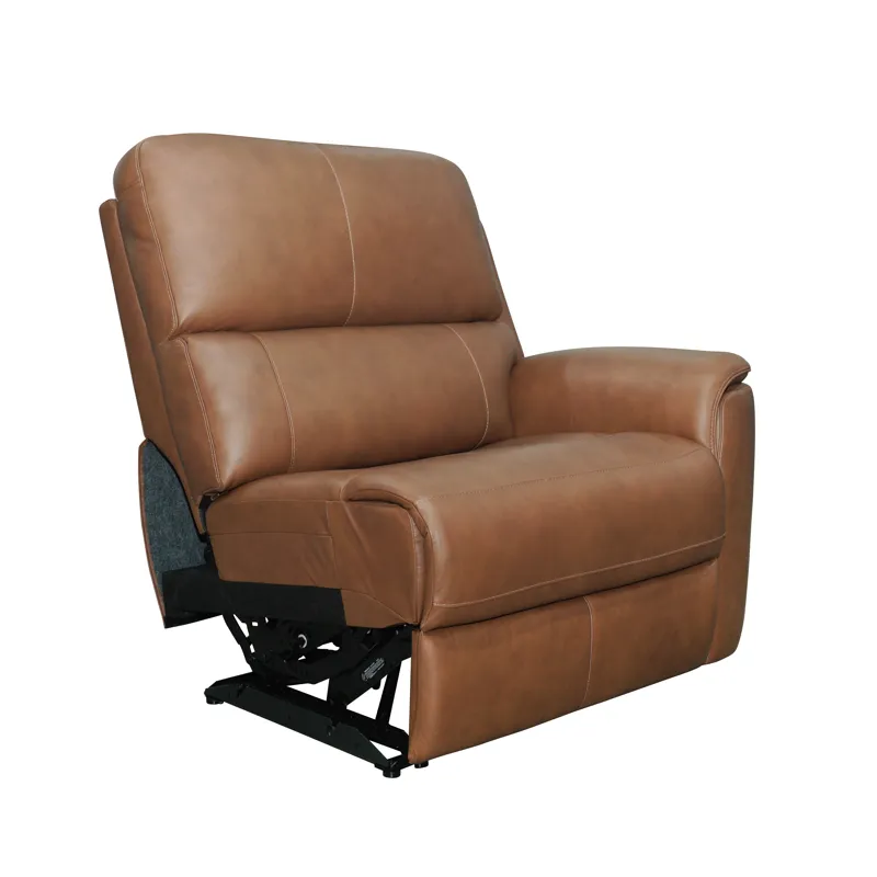 RAF Power Recliner with Power Headrest & Lumbar