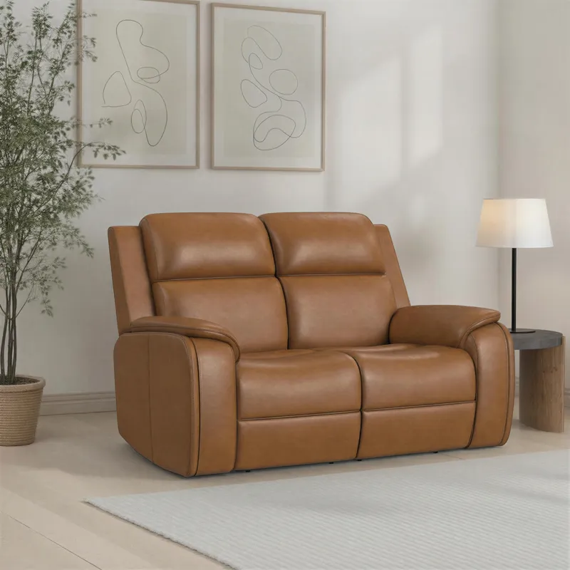 Ziggy Power Reclining Loveseat with Power Headrest, Lumbar, Heat & Massage