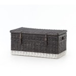 Black Washed Trunk