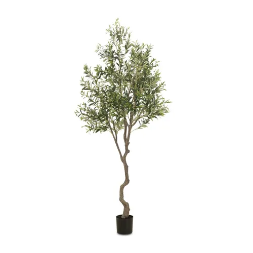 Faux Olive Tree