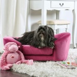 Andie Pet Sofa