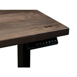 Simplicity Adjustable Desk Detail