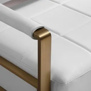 Modern Upholstery Accent Loveseat Sofa For Living Room 2 Seater With Golden Metal Arms - White