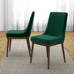 Kate - Mid-Century Modern Dining Chair (Set of 2) - Multi