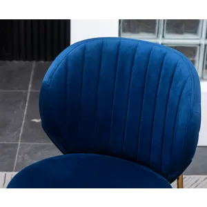 Amoa - Contemporary Velvet Upholstery Dining Chair - Blue